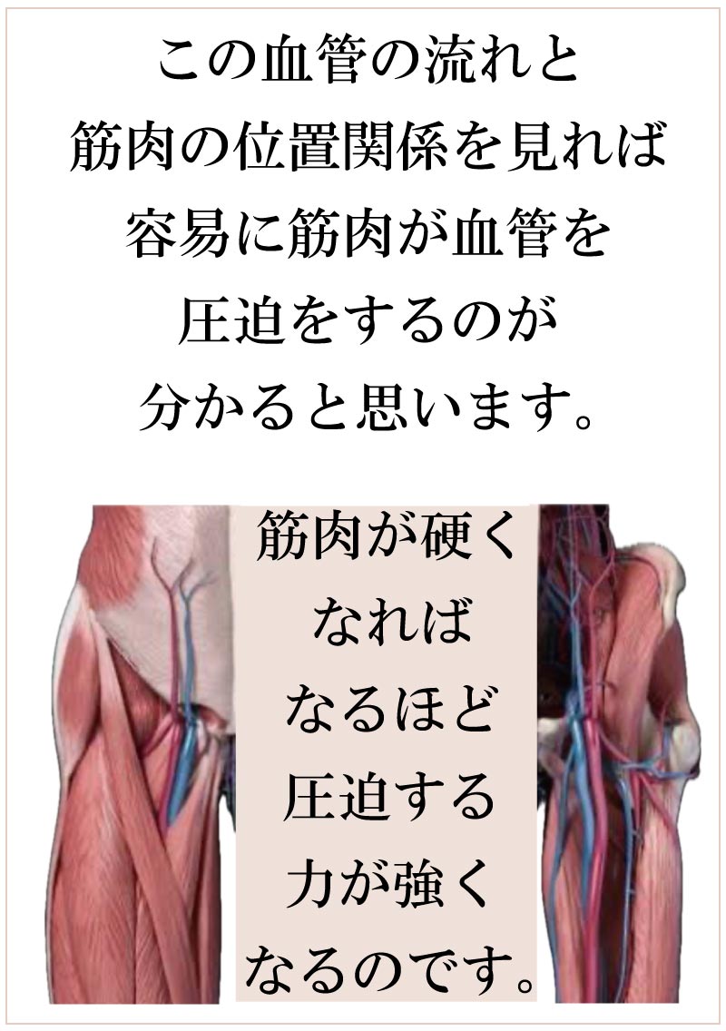 ���N�~�͂���,�ނ��݂͂���,����,���r,�_���T�[,�A�X���[�g