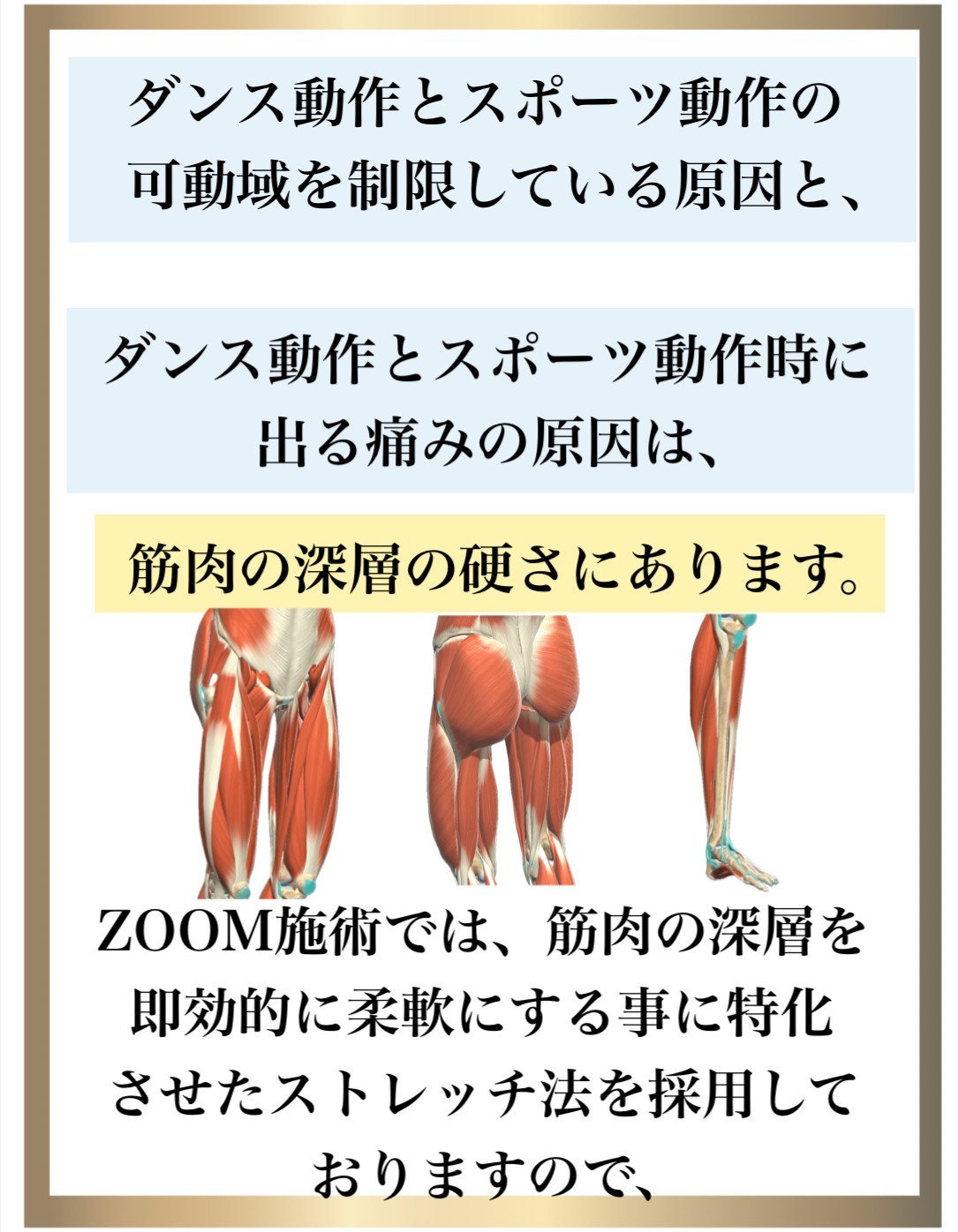 �o���G����,zoom,�X�g���b�`���b�X��,�_�