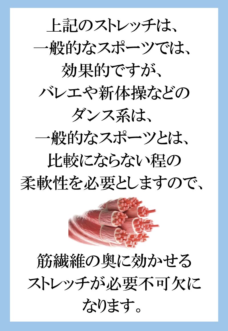 バレエ,資格,ストレッチ,柔軟性