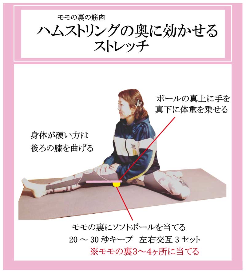 �o���G,����,�X�g���b�`,�J�r