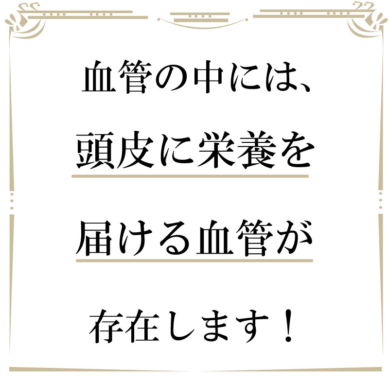 フェイシャル,若返り,ストレッチ,大阪,サロン