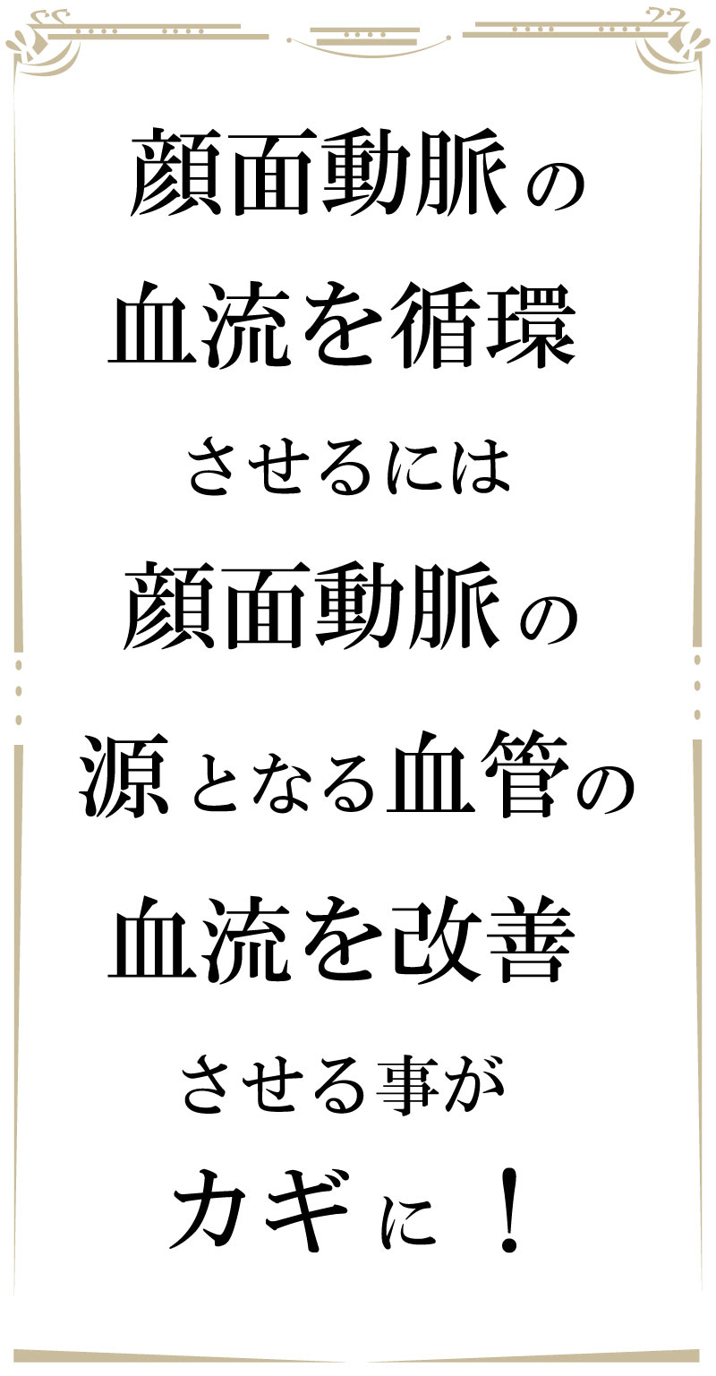 若返り,フェイシャル,大阪,ストレッチ,アンチエイジング