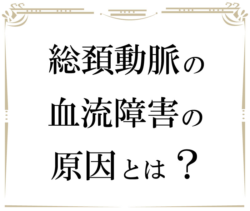 若返り,フェイシャル,大阪,ストレッチ,アンチエイジング