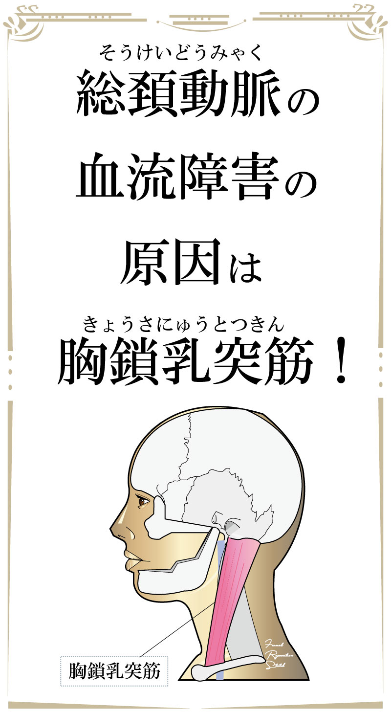 若返り,フェイシャル,大阪,ストレッチ,アンチエイジング