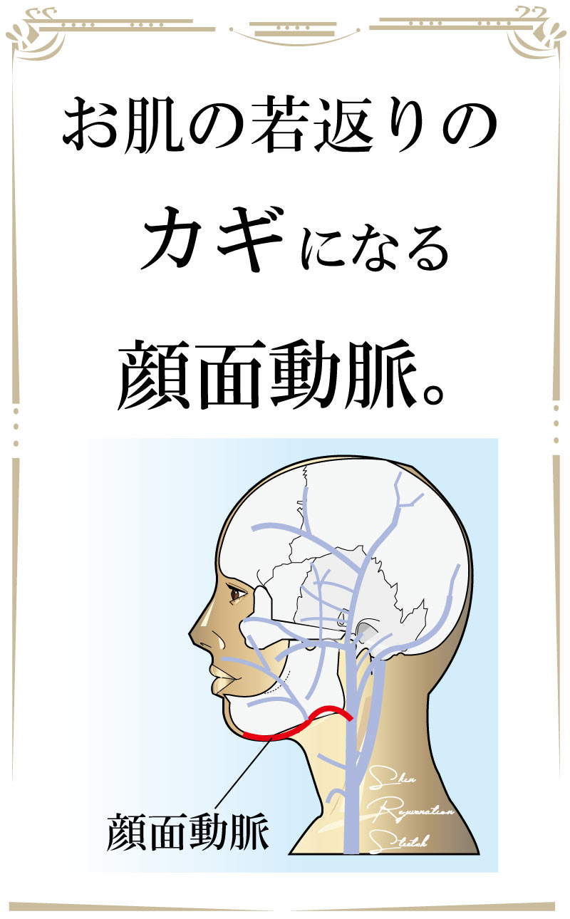 若返り,フェイシャル,大阪,ストレッチ