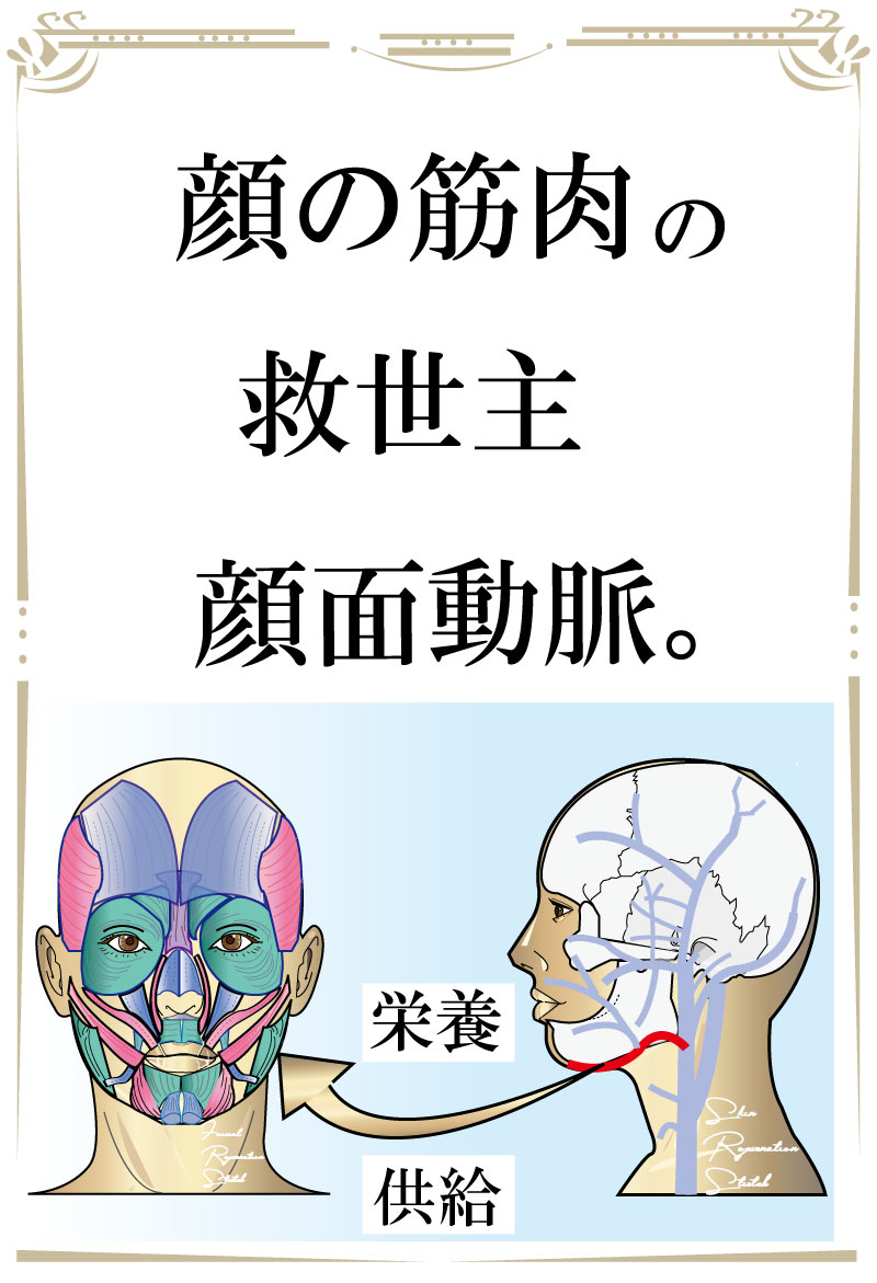 若返り,フェイシャル,大阪,ストレッチ,サロン