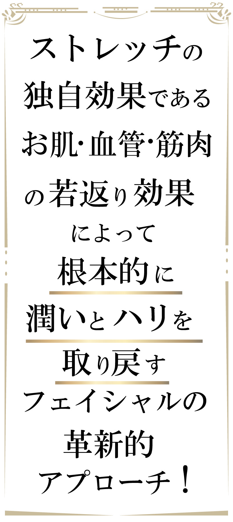 線維芽細胞,フェイシャル,大阪,若返り,ストレッチ