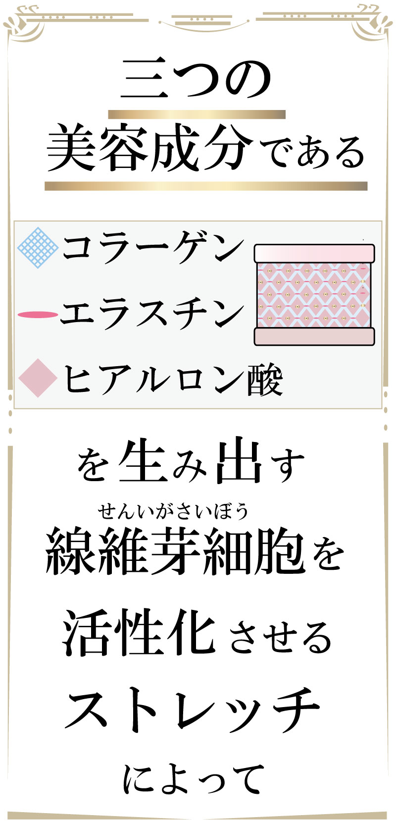 線維芽細胞,フェイシャル,大阪,若返り,ストレッチ