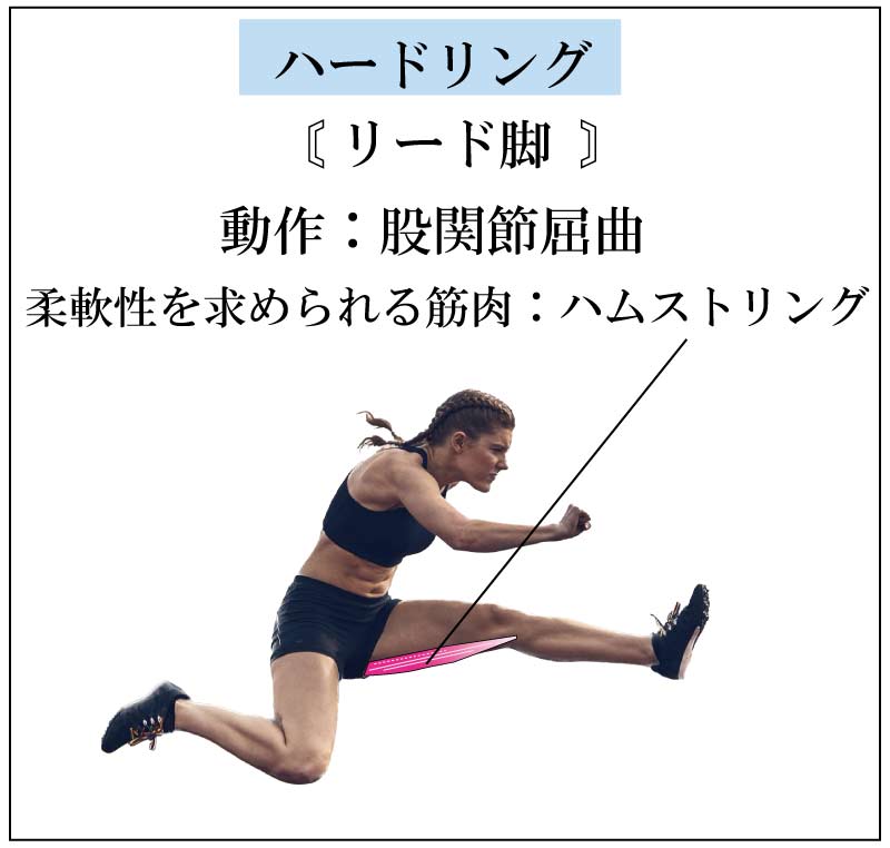 ハードル走力,足が速くなる,整体,ストレッチ,柔軟性