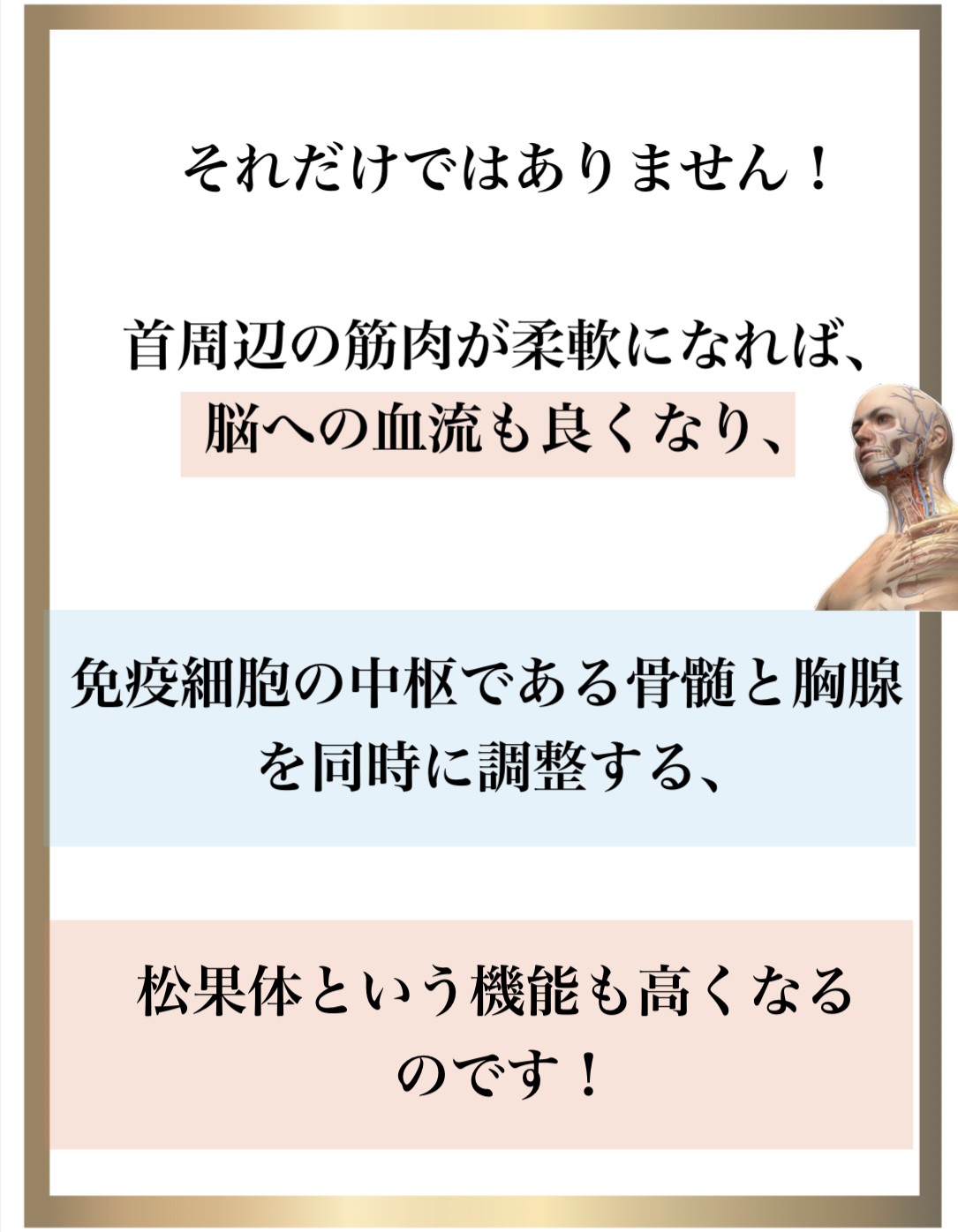 �Ɖu��,����,DNA�C��,��������,����זE�j