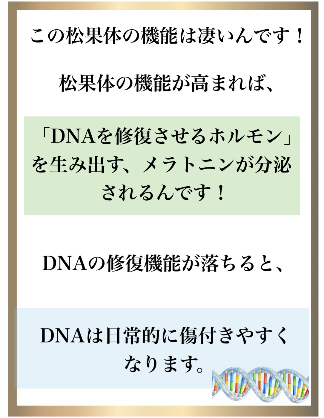 �Ɖu��,����,DNA�C��,��������,����זE�j