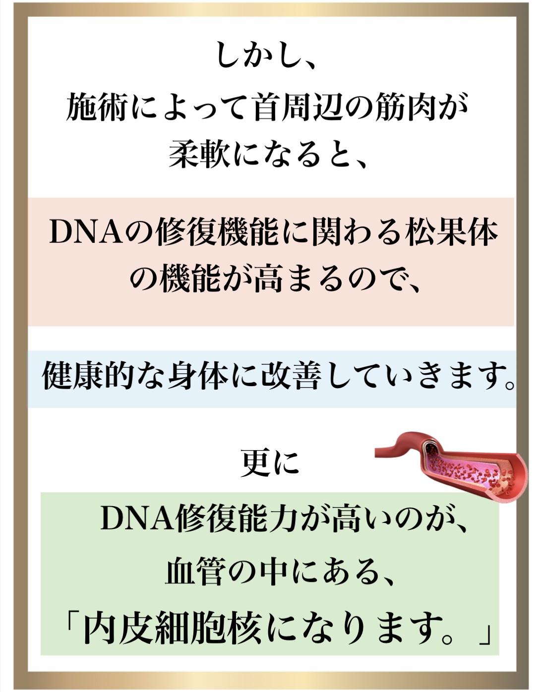 �Ɖu��,����,DNA�C��,��������,����זE�j