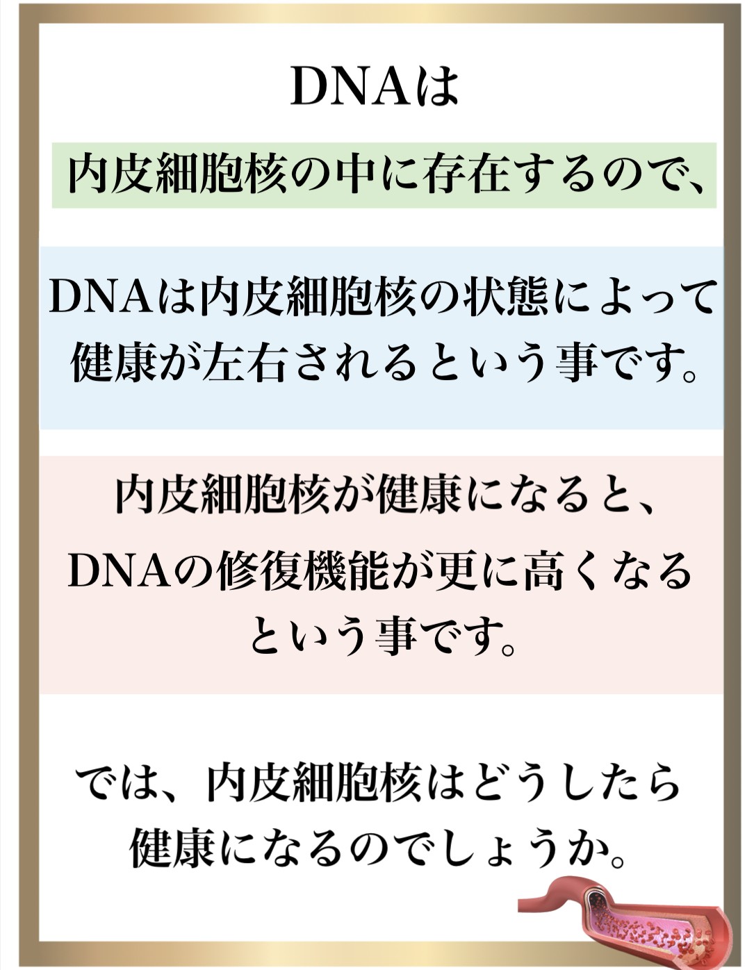 �Ɖu��,����,DNA�C��,��������,����זE�j