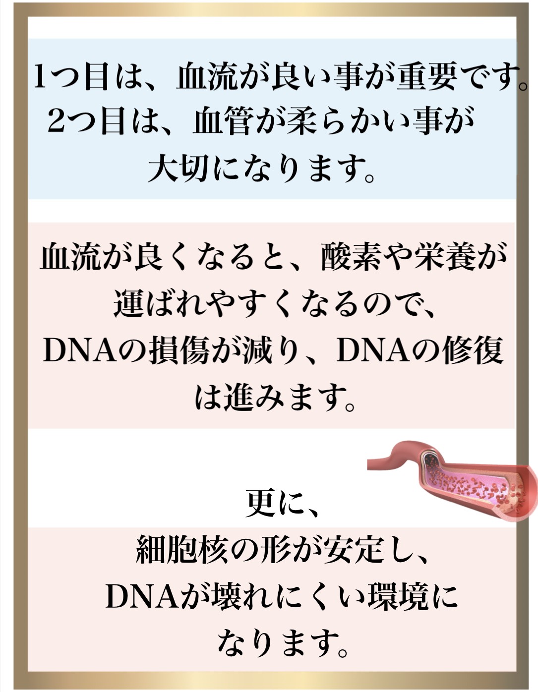 �Ɖu��,����,DNA�C��,��������,����זE�j