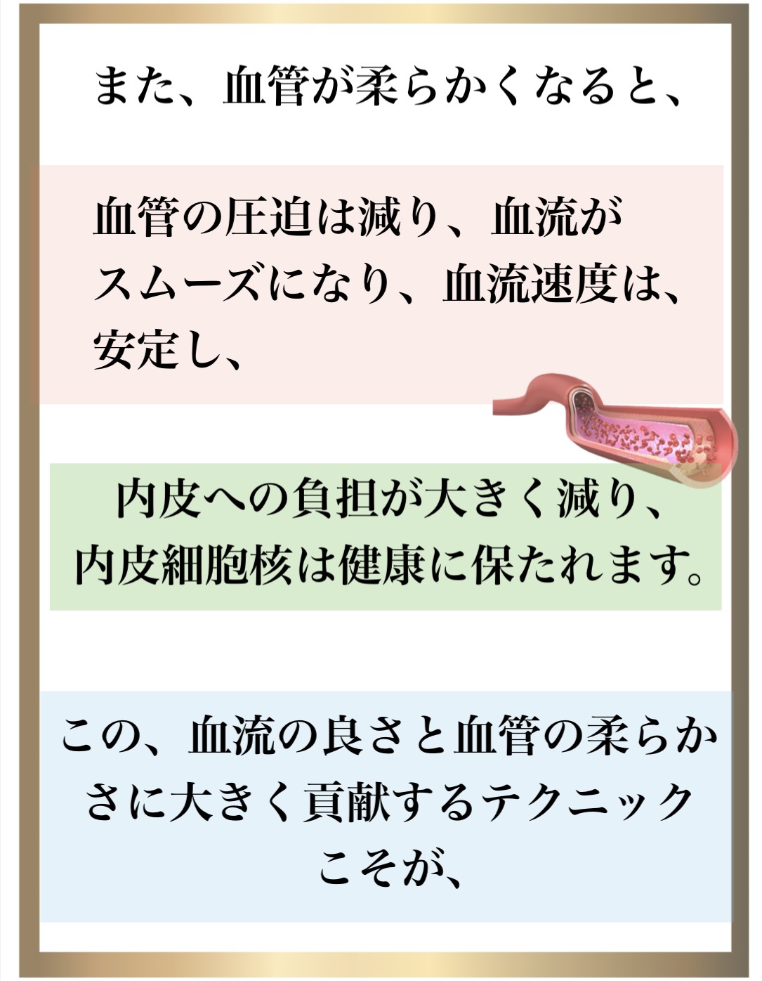 �Ɖu��,����,DNA�C��,��������,����זE�j