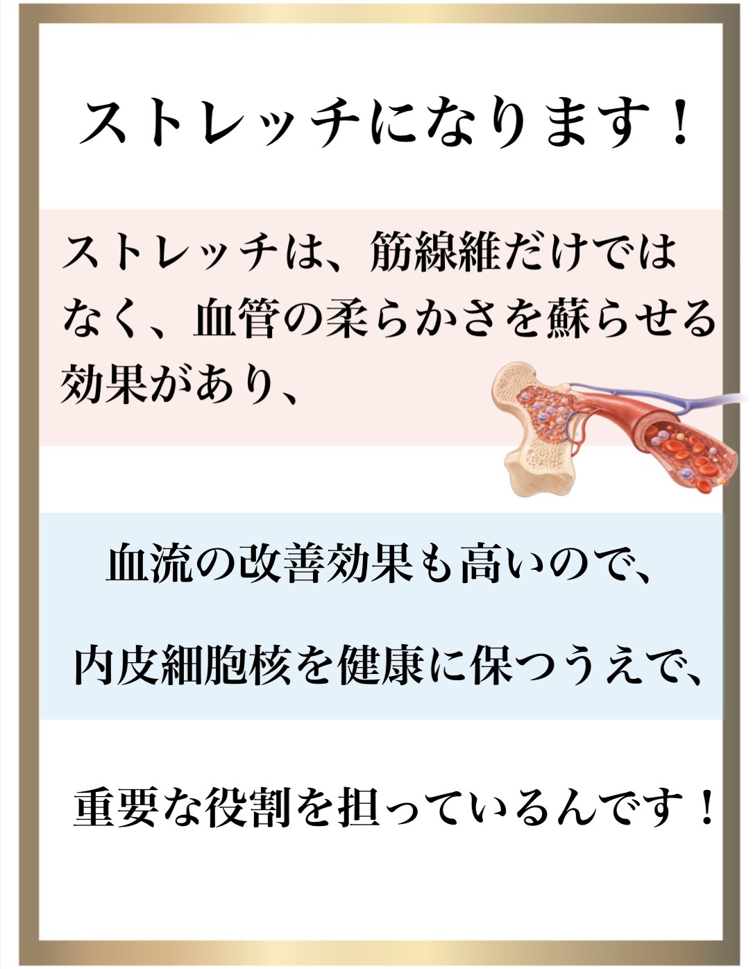 �Ɖu��,����,DNA�C��,��������,����זE�j