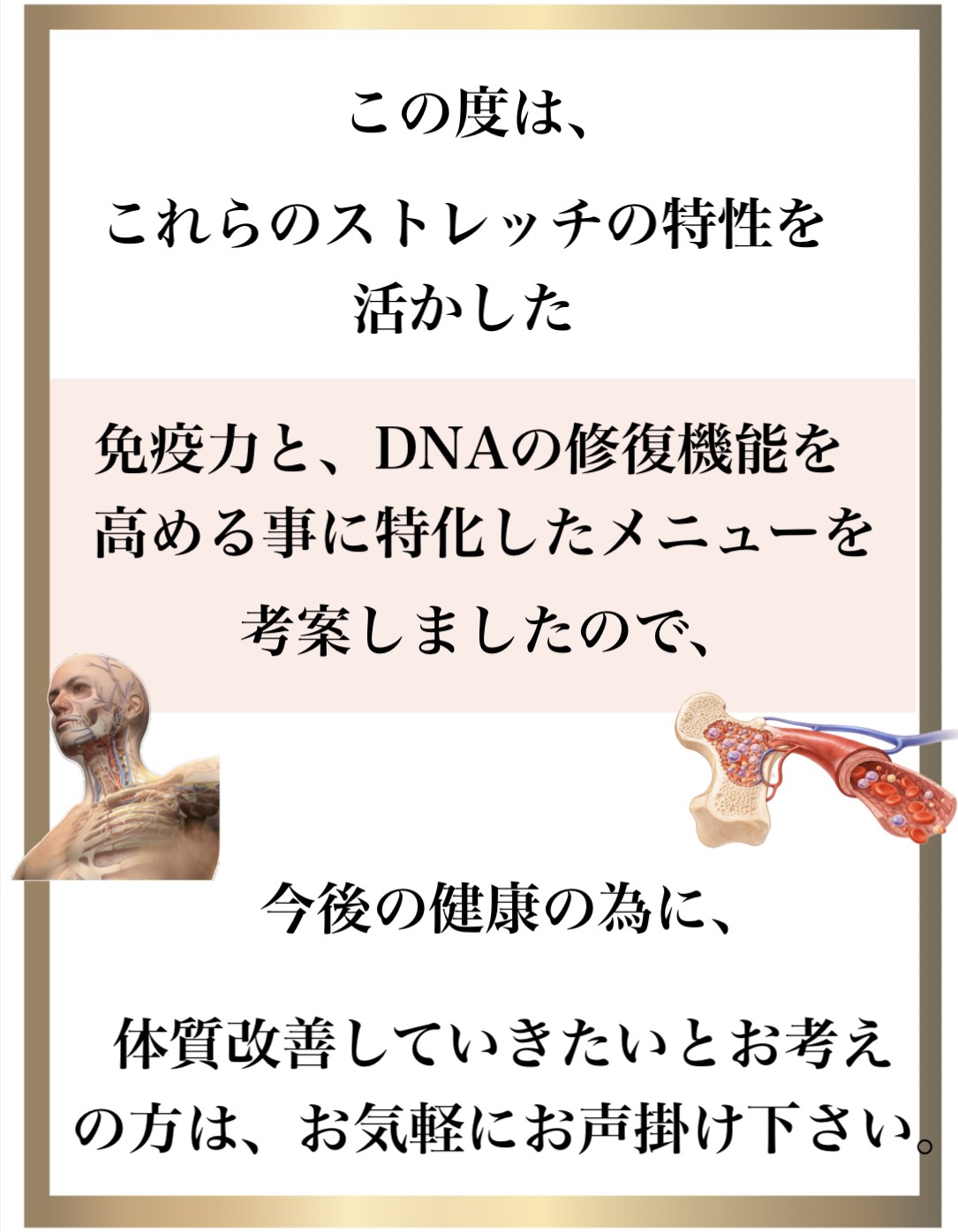 �Ɖu��,����,DNA�C��,��������,����זE�j