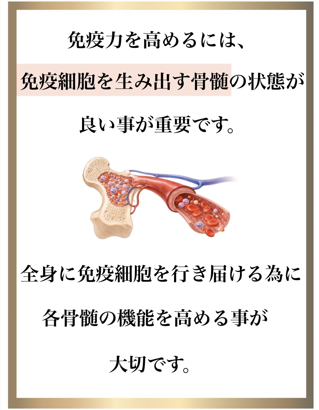 �Ɖu��,����,DNA�C��,��������,����זE�j