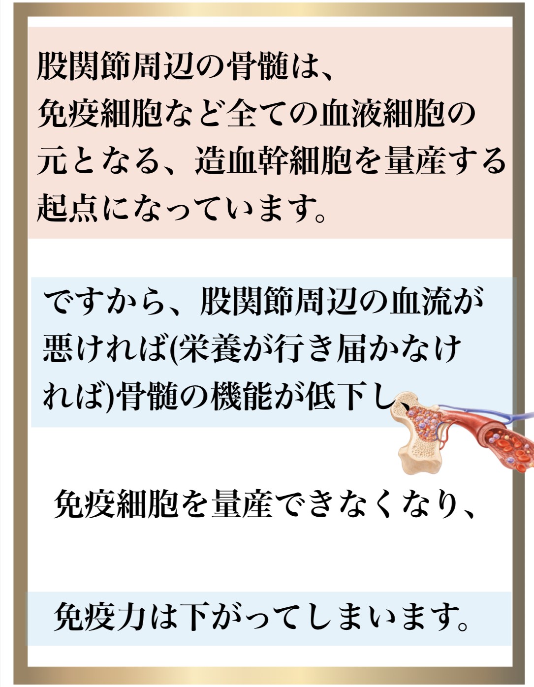 �Ɖu��,����,DNA�C��,��������,����זE�j