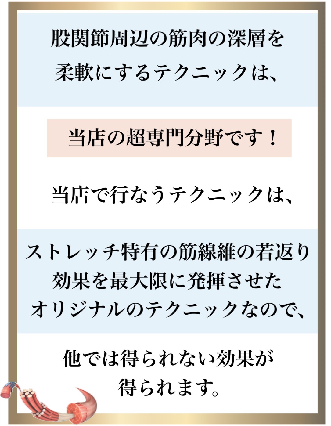 �Ɖu��,����,DNA�C��,��������,����זE�j