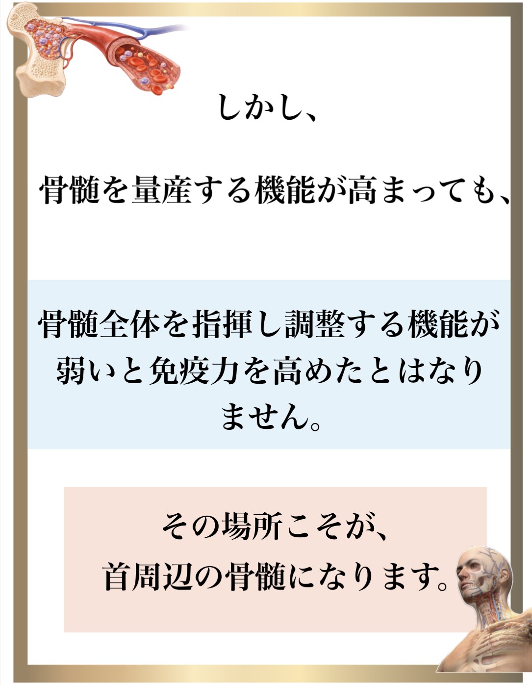 �Ɖu��,����,DNA�C��,��������,����זE�j