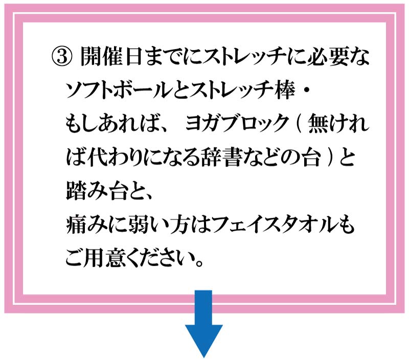 zoom,�o���G�R���f�B�V���j���O�X�g���b�`,�o���G����,�X�g���b�`