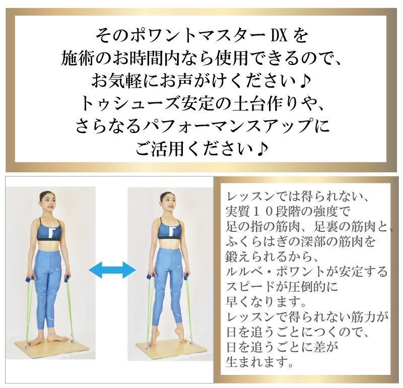 �o���G����,�|�����g,�g�D�V���[�Y,�g���[�j���O���