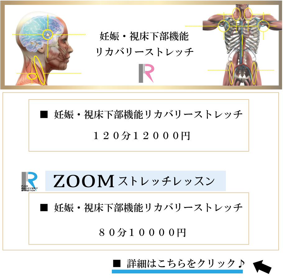 �D�P,�o�Y,����,���J�o���[�X�g���b�`,���,��������