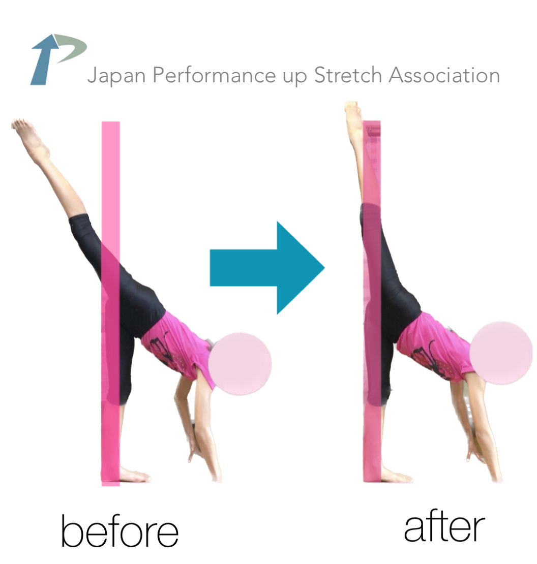 �k��[�w�X�g���b�`,�k��X�g���b�`,�p�t�H�[�}���X�A�b�v�X�g���b�`,�_�,����