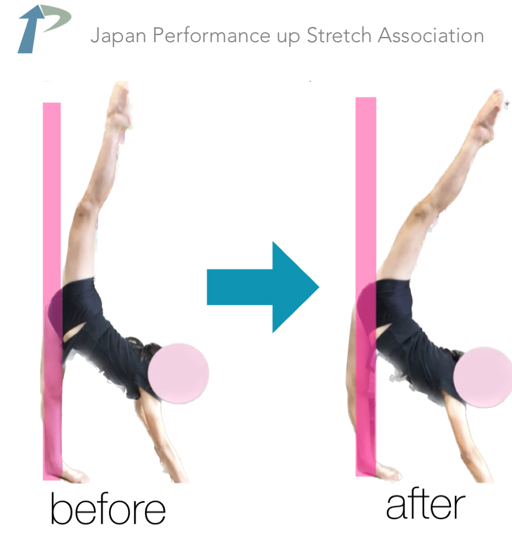 �k��[�w�X�g���b�`,�k��X�g���b�`,�p�t�H�[�}���X�A�b�v�X�g���b�`,�_�,����