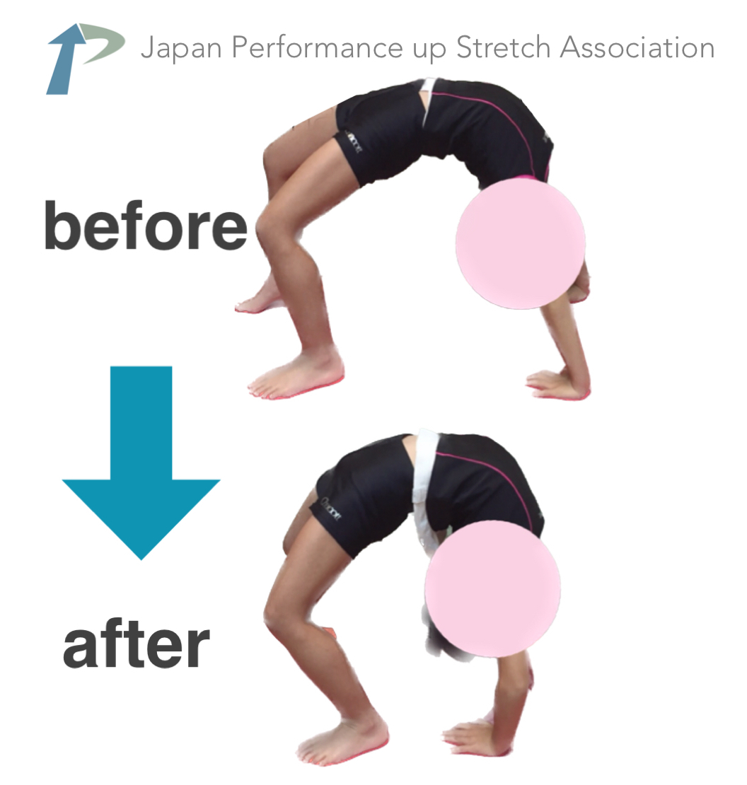 �k��[�w�X�g���b�`,�k��X�g���b�`,�p�t�H�[�}���X�A�b�v�X�g���b�`,�_�,����