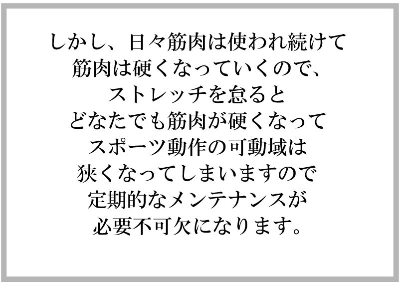 日本パフォーマンスアップストレッチ協会,smms理論,スポーツ動作徒手ストレッチ,徒手ストレッチ