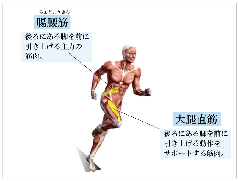 スプリントフィジカルトレーニング,足が速くなる,トレーニング,方法