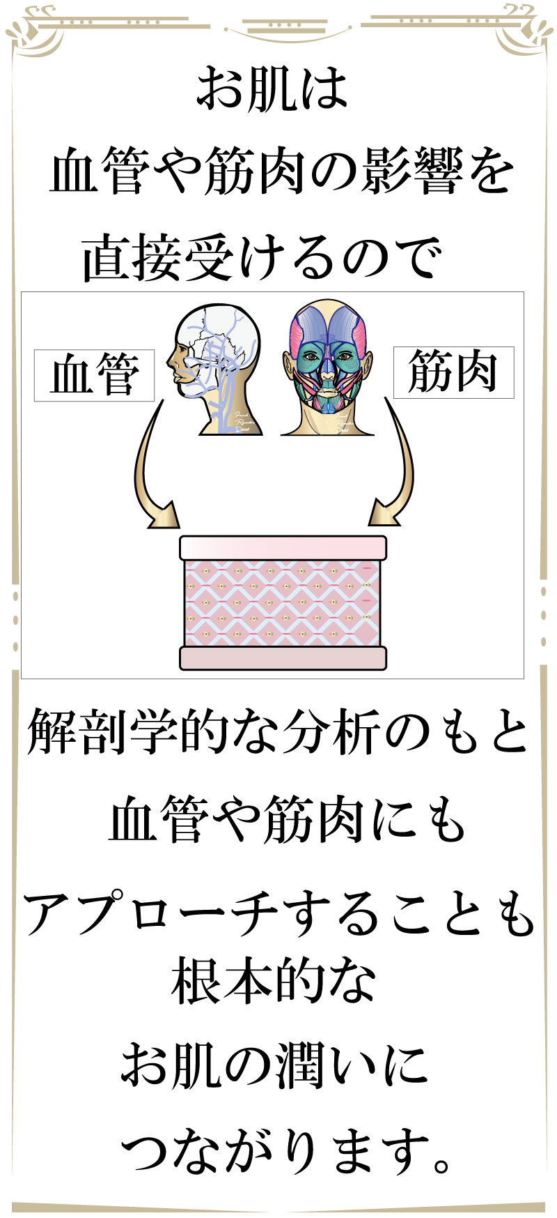 若返り,フェイシャルリジュベネーションストレッチ,フェイシャル,大阪