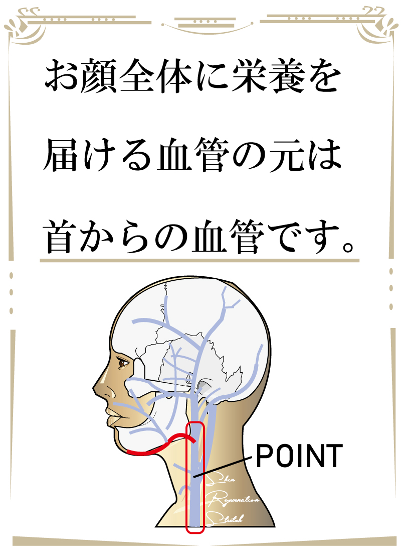 若返り,フェイシャルリジュベネーションストレッチ,フェイシャル,大阪
