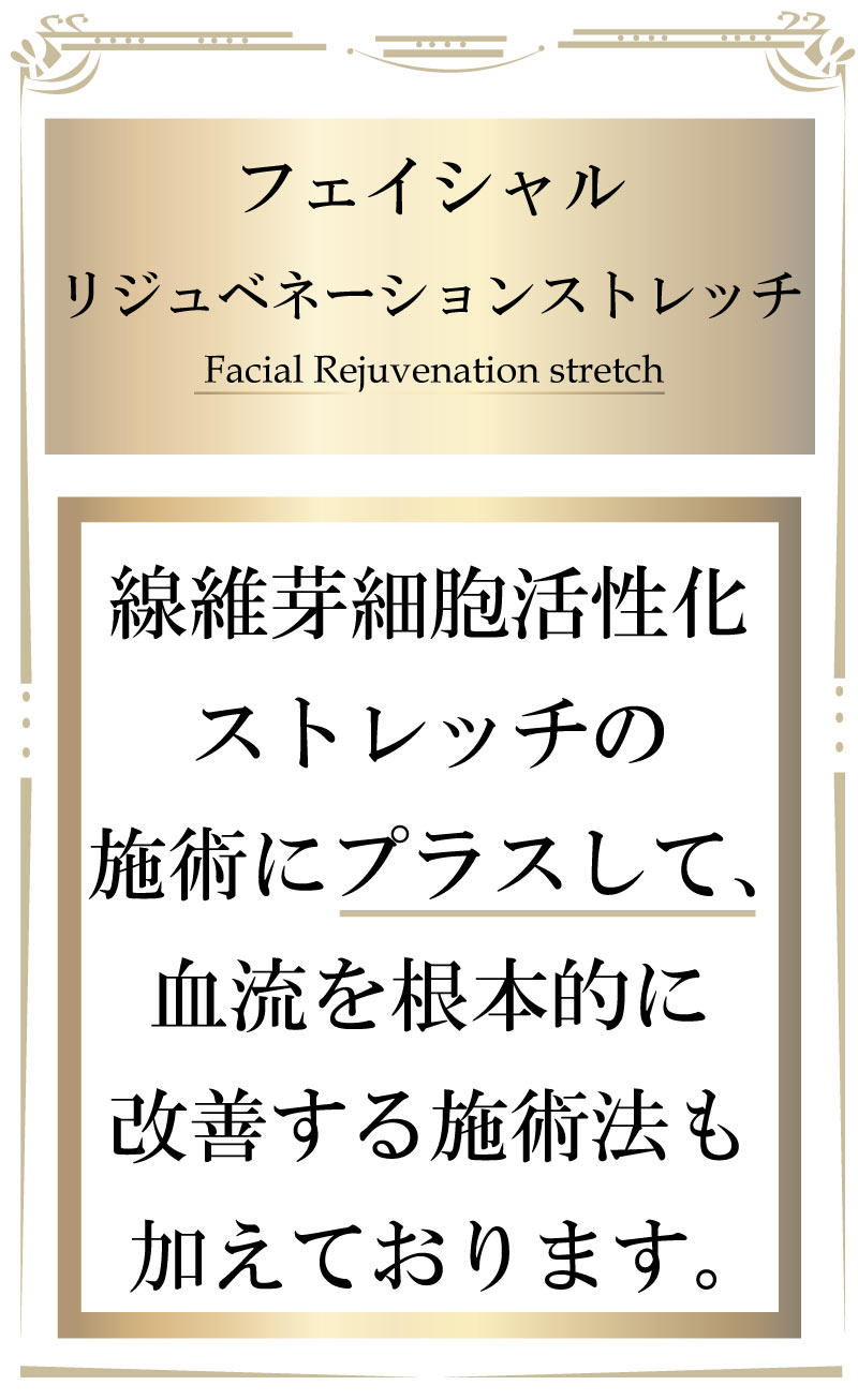 線維芽細胞,フェイシャル,大阪,線維芽細胞活性化ストレッチ